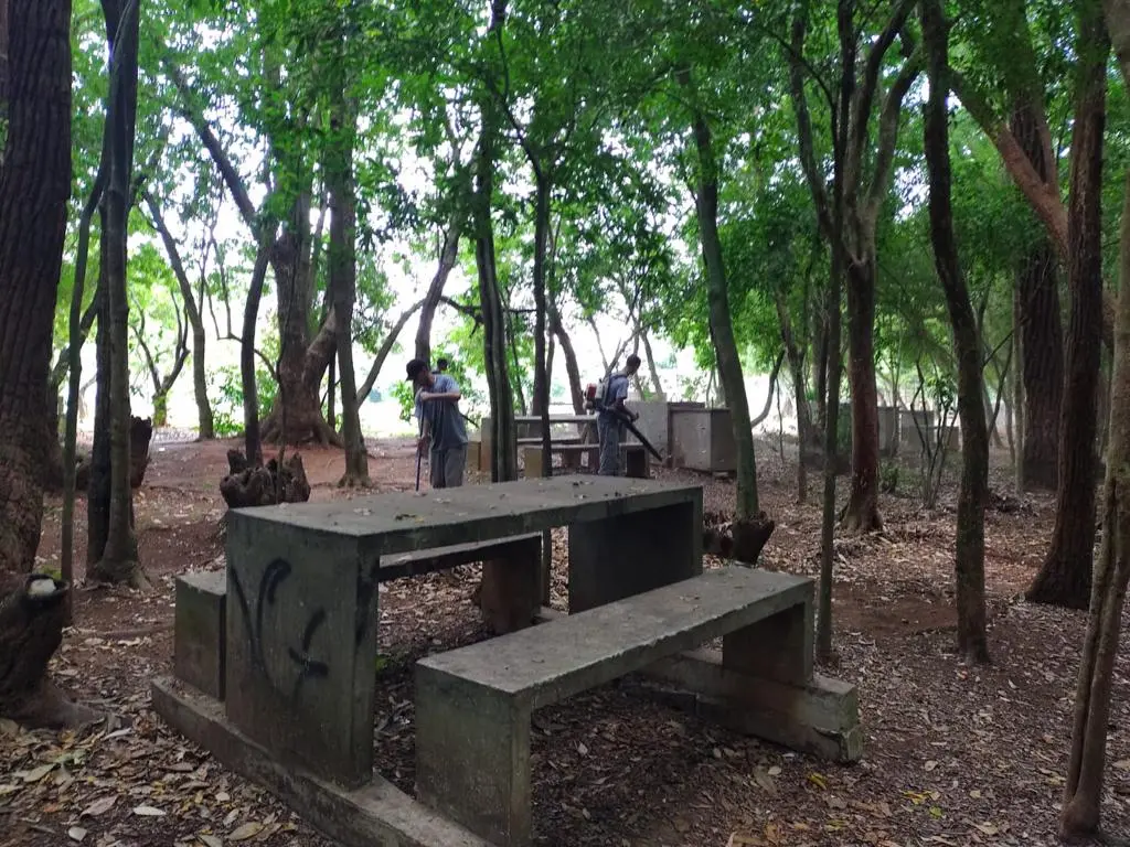 Casal é flagrado fazendo sexo dentro de parque