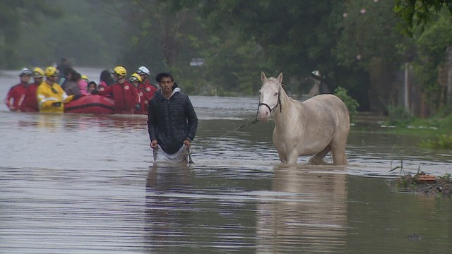 Prefeito de Porto Alegre anuncia decreto de situação de emergência após chuva