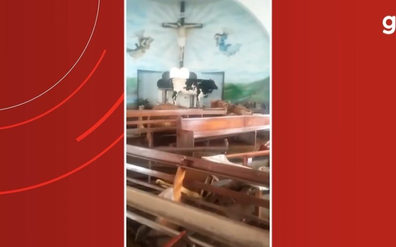 Inundações em Taquari, RS: Boi é Descoberto Dentro de Igreja Após Cheia do Rio