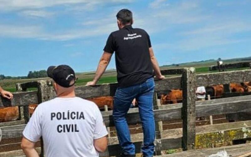 Pelo quarto ano consecutivo, Rio Grande do Sul apresenta queda nos casos de abigeato
