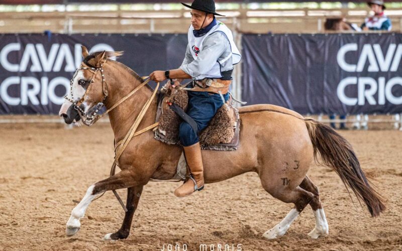 Itano garante medalha de ouro e visa ao Mundial de adestramento na Alemanha