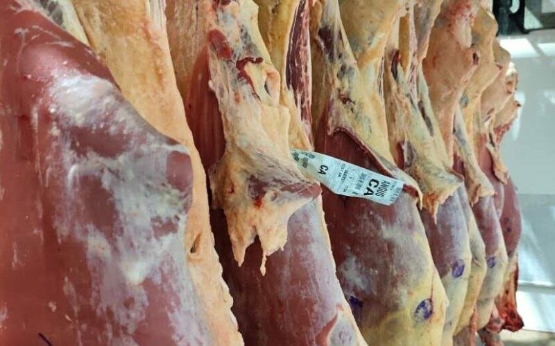 Grupo “Cozinha dos Pampas” traz os cortes vencedores do Concurso de Carcaça Angus