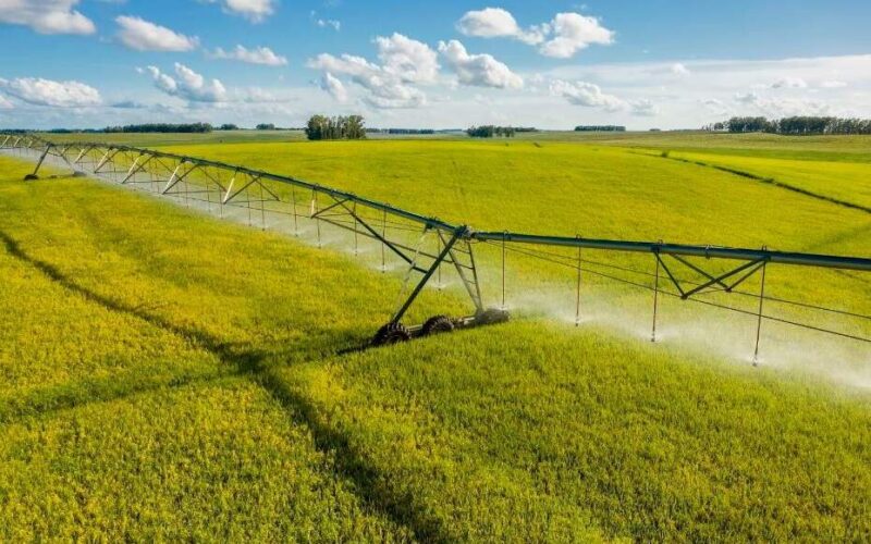 Perspectivas futuras do agronegócio no Rio Grande do Sul segundo relatório da Bateleur