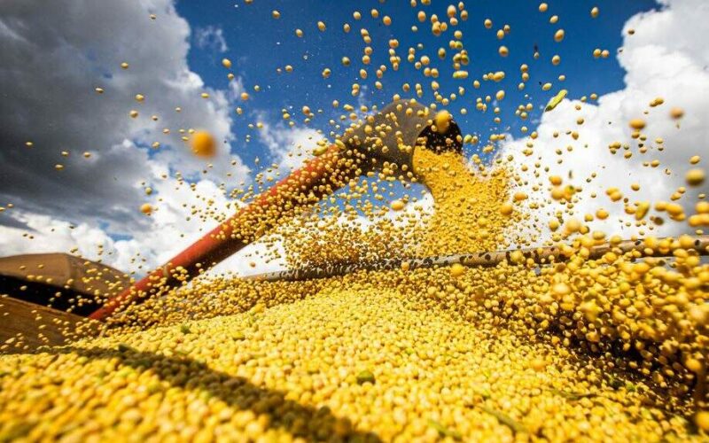 Previsão de queda na produção agrícola brasileira devido às condições climáticas adversas