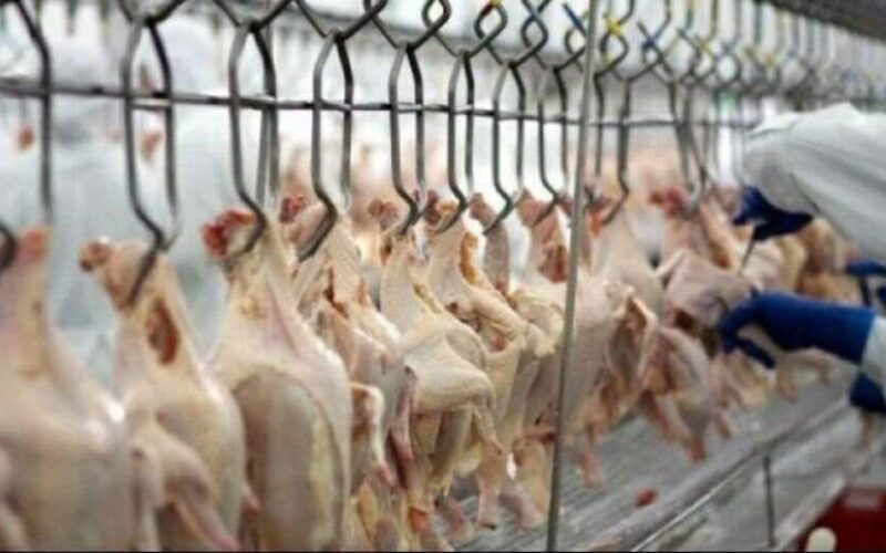 China levanta embargo e autoriza a importação de carne de frango brasileira