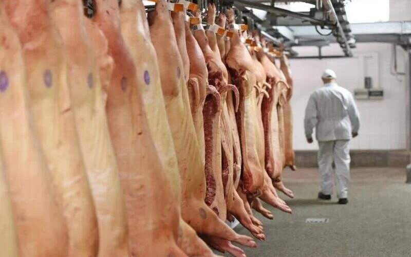 Outubro marca crescimento nas exportações de carne suína e receita anual já ultrapassa 2024