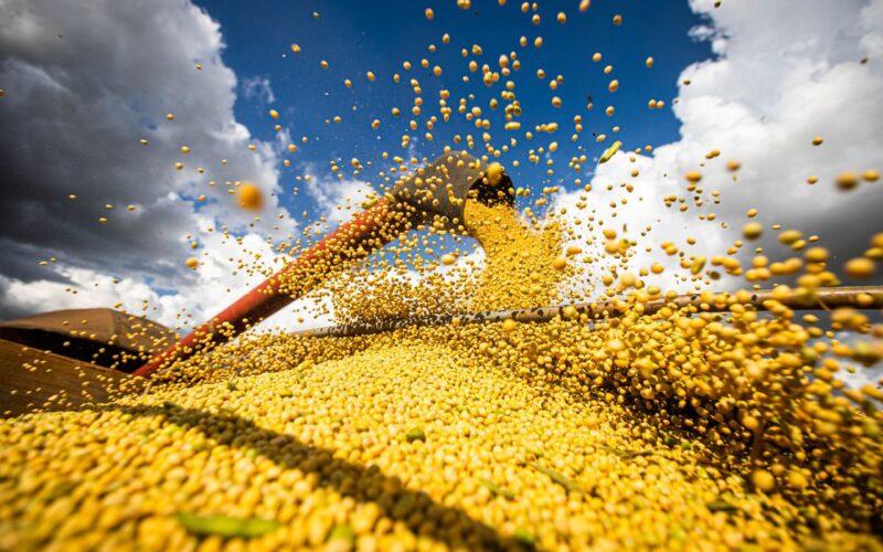 Brasil se prepara para colher a maior safra de grãos da história, com previsão de 328,3 milhões de toneladas.