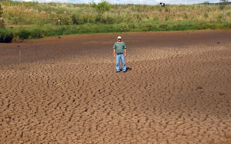 Governo destina R$ 179 milhões para o seguro rural no agronegócio