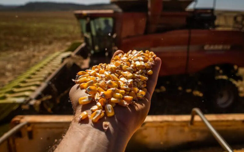 Produção de grãos atinge número histórico: Brasil projeta colher quase 333 milhões de toneladas