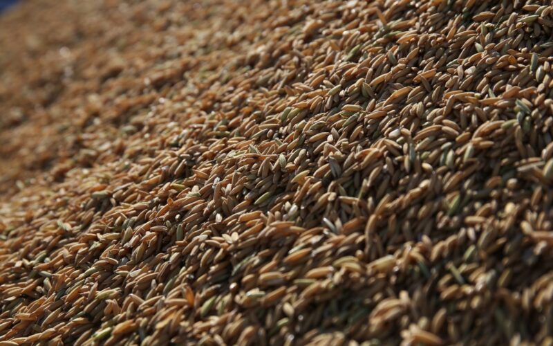 Em janeiro, queda de 12,1% nas exportações do agronegócio do Rio Grande do Sul