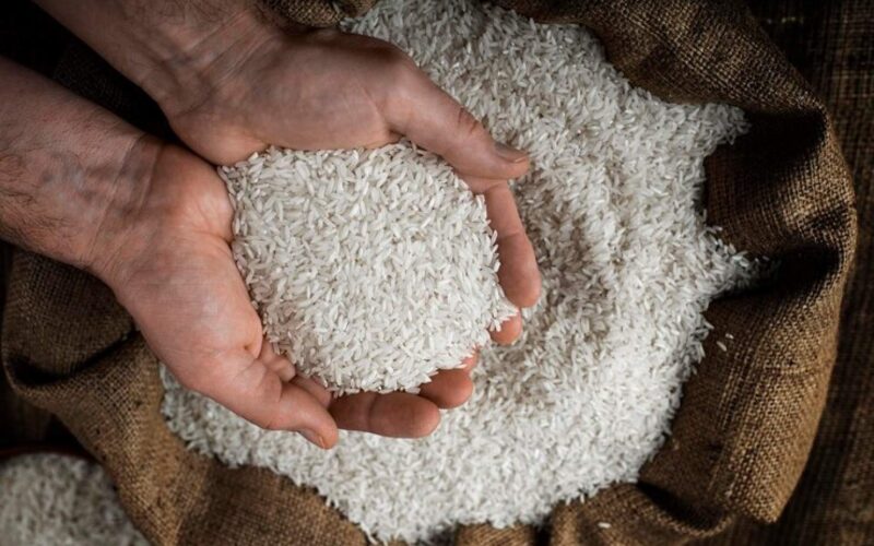 Produção de arroz no Brasil alcança patamar recorde em sete anos