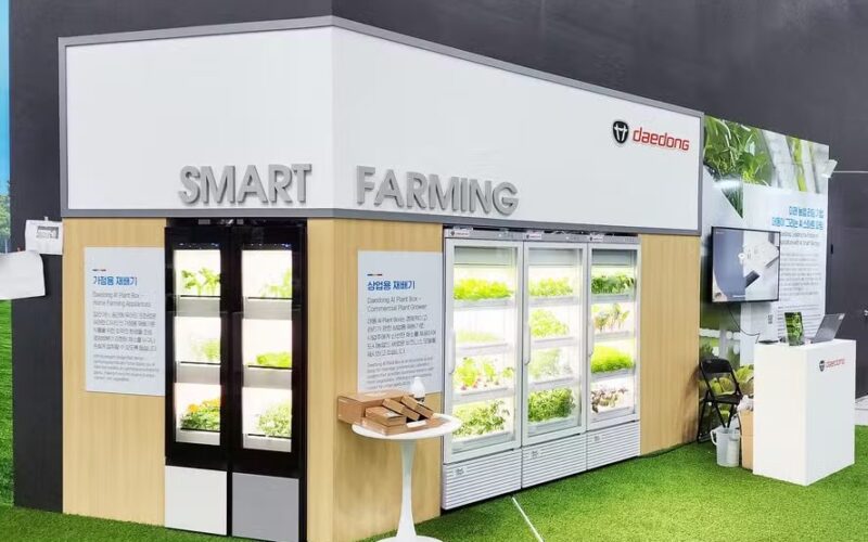 Conheça a inovação que permite cultivar alimentos dentro de casa: agricultura em apartamentos