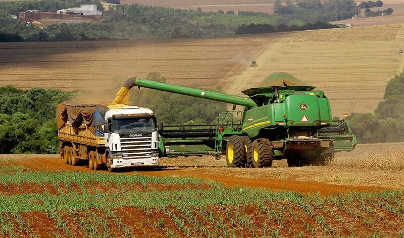Agropecuária gaúcha projeta recuperação em 2026, revela estudo do governo estadual