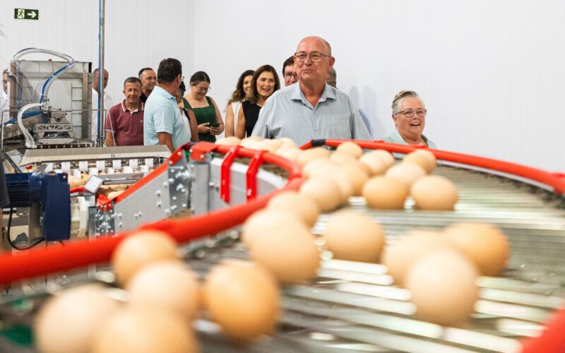 Rio Grande do Sul inaugura incubatório de ponta, um dos mais avançados do país
