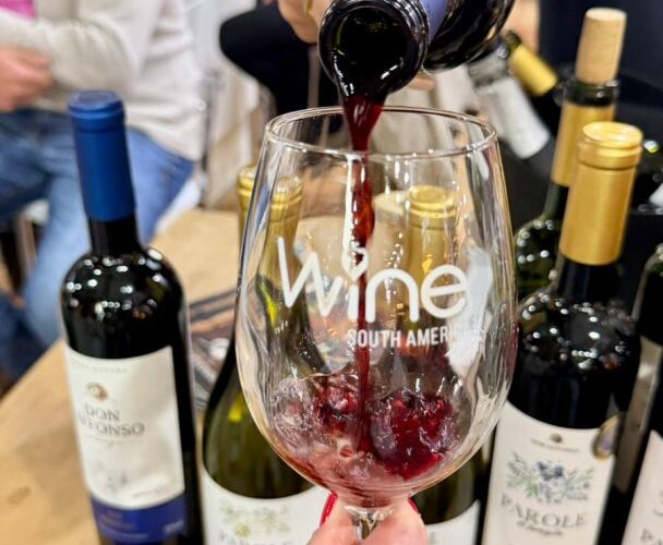 Caxias do Sul fortalece sua participação na Wine South America e se destaca no cenário nacional