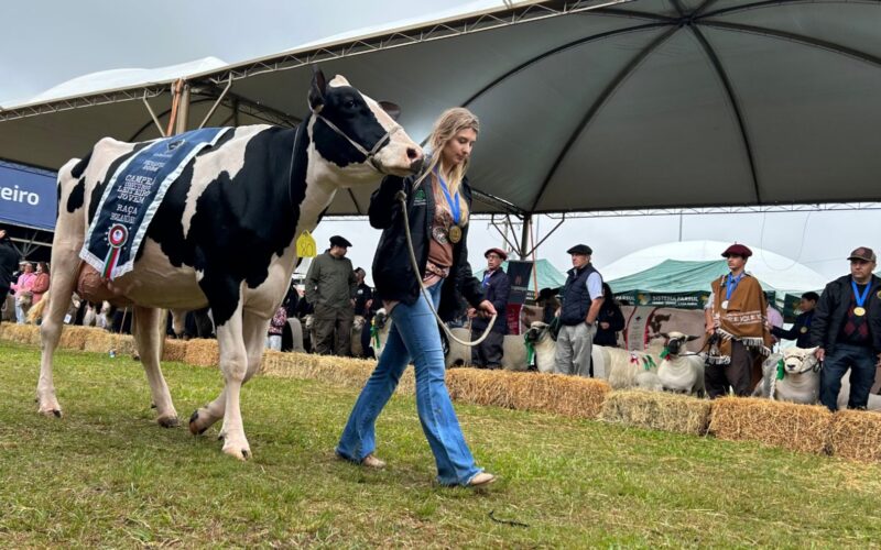 Fenasul Expoleite e Fenovinos atraem 200 mil pessoas e celebram desfile dos vencedores