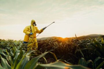 MP do Trabalho solicita à Justiça brasileira banimento do herbicida mais consumido globalmente