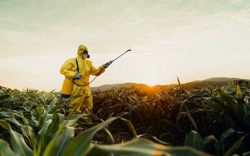 MP do Trabalho solicita à Justiça brasileira banimento do herbicida mais consumido globalmente