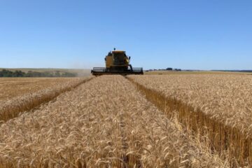 Exportações do agronegócio do Rio Grande do Sul alcançam 3,2 bilhões de dólares no início do ano