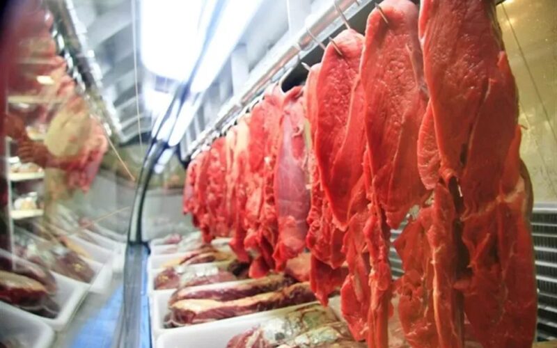União Europeia decide banir importação de carne e animais brasileiros a partir de setembro