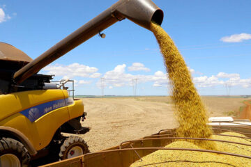 Produção agrícola de 2026 deve atingir 348,7 milhões de toneladas, superando em 0,7% a colheita de 2025