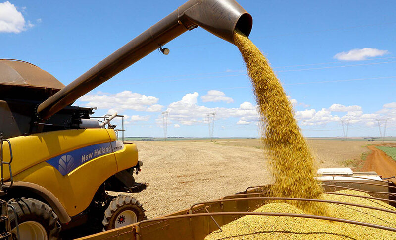 Produção agrícola de 2026 deve atingir 348,7 milhões de toneladas, superando em 0,7% a colheita de 2025