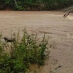 Setor agropecuário do Brasil começa a monitorar super El Niño para minimizar danos potenciais