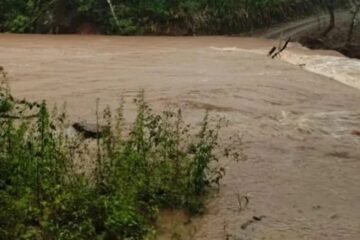 Setor agropecuário do Brasil começa a monitorar super El Niño para minimizar danos potenciais