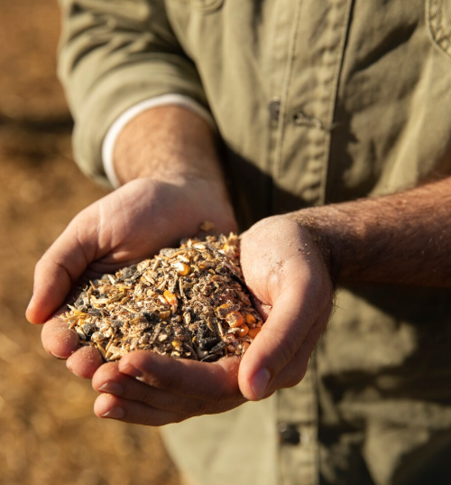 Antônio Martins dos Santos: memória de um pioneiro ligado à construção rural de Rondônia