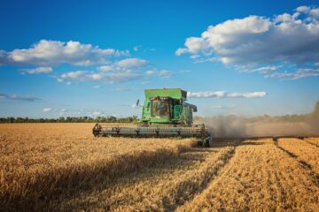 Crise no Supremo adiciona incerteza a um agro que já enfrenta aperto de crédito