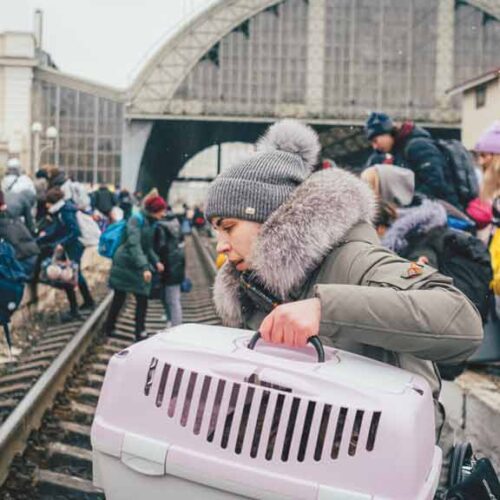 ONU enfrenta crise e pressão dos EUA, reduz dez mil postos de trabalho e ameaça apoio a refugiados no Brasil