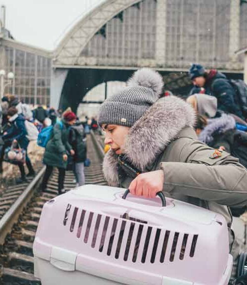 ONU enfrenta crise e pressão dos EUA, reduz dez mil postos de trabalho e ameaça apoio a refugiados no Brasil