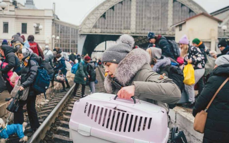 ONU enfrenta crise e pressão dos EUA, reduz dez mil postos de trabalho e ameaça apoio a refugiados no Brasil